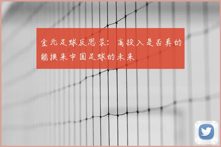 金元足球反思录：高投入是否真的能换来中国足球的未来